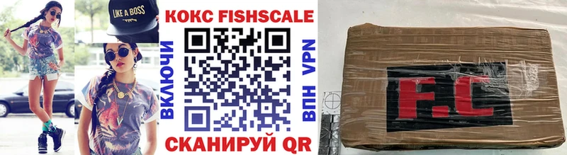 Купить закладки  Ельня  COCAIN 98% 